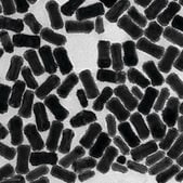 金纳米棒 palladium coated, 25 nm diameter, 100 μg/mL in H2O, dispersion