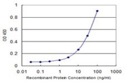 Monoclonal Anti-TUBA1B antibody produced in mouse clone 2E8, purified immunoglobulin, buffered aqueous solution