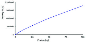 SIRT1, active, His tagged human recombinant, expressed in baculovirus infected Sf9 cells, ≥70% (SDS-PAGE), buffered aqueous glycerol solution