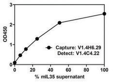 Monoclonal Anti-EBI-3-Biotin antibody produced in mouse clone V1.4C4.22, purified immunoglobulin