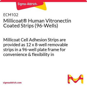 Millicoat® Human Vitronectin Coated Strips (96-Wells) Millicoat Cell Adhesion Strips are provided as 12 x 8-well removable strips in a 96-well plate frame for convenience &amp; flexibility in designing assays.