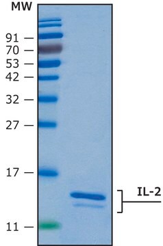 白细胞介素-2 人 IL-2, recombinant, expressed in HEK 293 cells, suitable for cell culture, endotoxin tested