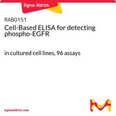 Cell-Based ELISA for detecting phospho-EGFR in cultured cell lines, 96 assays