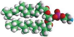 4ME 16:0 PE 1,2-diphytanoyl-sn-glycero-3-phosphoethanolamine, chloroform