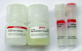 Extract-N-Amp™ 种子 PCR 试剂盒 sufficient for 100 extractions, sufficient for 100 amplifications