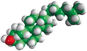 cholestanol Avanti Research™ - A Croda Brand