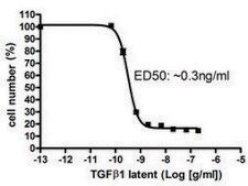 TGF-β1 Latent human recombinant, expressed in FreeStyle™ 293-F cells, ≥98% (SDS-PAGE)