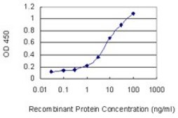 Monoclonal Anti-SLC22A12 antibody produced in mouse clone 2B5, purified immunoglobulin, buffered aqueous solution