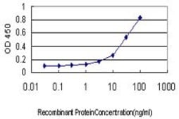 Monoclonal Anti-PHKG1 antibody produced in mouse clone 2G6, purified immunoglobulin, buffered aqueous solution