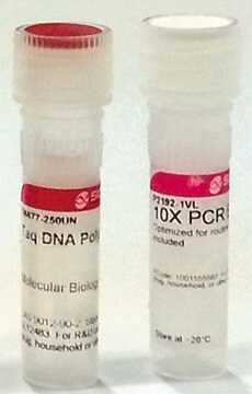 Taq DNA Polymerase from Thermus aquaticus with 10× PCR reaction buffer containing MgCl2