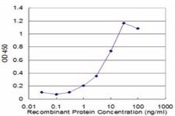 Monoclonal Anti-PGAM1 antibody produced in mouse clone 4F5-D8, purified immunoglobulin, buffered aqueous solution