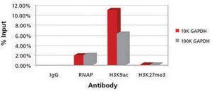 Imprint® Chromatin Immunoprecipitation Kit Complete ChIP reaction in 6 hours in flexible strip well format