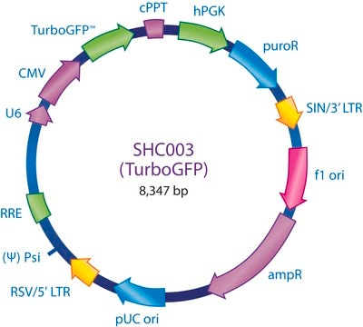 MISSION&#174; pLKO.1-puro-CMV-TurboGFP&#8482; Positive Control Plasmid DNA Green fluorescent protein marker to monitor transduction efficiency