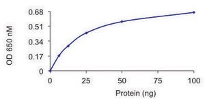 PP2A ALPHA/PPP2R1A Complex, Active recombinant