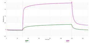 Anti-IL2RB Antibody, clone 4D2 ZooMAb® Rabbit Monoclonal recombinant, expressed in HEK 293 cells