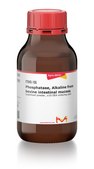 碱性磷酸酶 来源于牛肠粘膜 lyophilized powder, ≥10 DEA units/mg solid