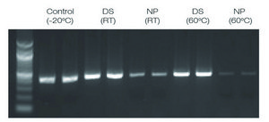 DNAstable® Tube kit, for room temp preservation of DNA