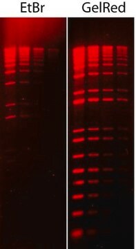 GelRed&#174; 核酸染色剂10000X水 GelRed is a fluorescent nucleic acid stain designed to replace the highly toxic ethidium bromide (EtBr) for staining dsDNA, ssDNA or RNA in agarose gels or polyacrylamide gels.