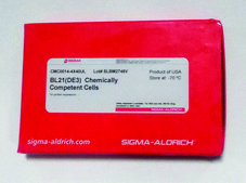 BL21（DE3）化学感受态细胞 for protein expression