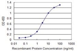 Monoclonal Anti-TPM3 antibody produced in mouse clone 2E4, purified immunoglobulin, buffered aqueous solution