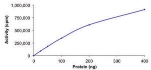CHK1, active, His tagged human PRECISIO®, recombinant, expressed in baculovirus infected Sf9 cells, ≥70% (SDS-PAGE), buffered aqueous glycerol solution