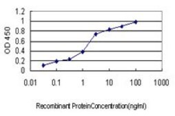 Monoclonal Anti-USP9X antibody produced in mouse clone 1C4, purified immunoglobulin, buffered aqueous solution