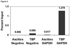 ChIPAb+ TATA Binding Protein (TBP) - ChIP Validated Antibody and Primer Set ascites fluid, from mouse