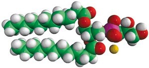 12:0 PG Avanti Research™ - A Croda Brand