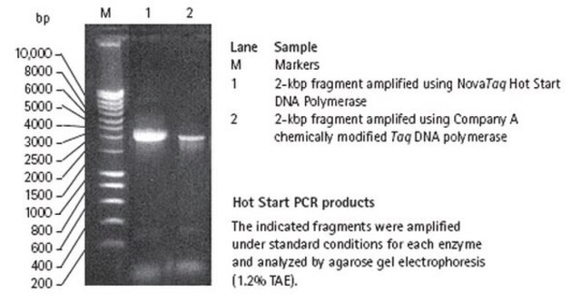 Nova Taq Hot Start DNA Polymerase Heat-activatable modified form of recombinant Taq DNA polymerase