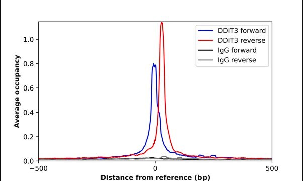 Anti-DDIT3 antibody produced in rabbit Prestige Antibodies® Powered by Atlas Antibodies, affinity isolated antibody, buffered aqueous glycerol solution