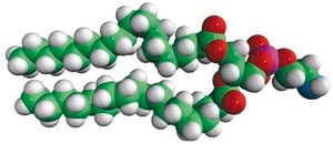 18:0 PE Avanti Research™ - A Croda Brand
