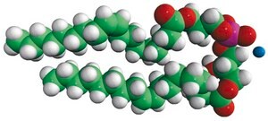 18:1 BMP (S,R) bis(monooleoylglycero)phosphate (S,R Isomer) (ammonium salt), chloroform