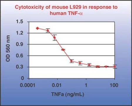 肿瘤坏死因子-&#945;蛋白，重组人类 Tumor Necrosis Factor-alpha (TNF-alpha) is a potent lymphoid factor that exerts cytotoxic effects on a wide range of tumor cells &amp; certain other target cells.
