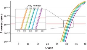 KAPA PROBE FAST suitable for qPCR, 2 ×, Universal