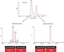 SILu™MAB Stable-Isotope Labeled Universal Monoclonal Antibody Standard human recombinant, expressed in CHO cells