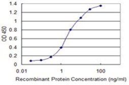 Monoclonal Anti-RBM10 antibody produced in mouse clone 2F12, purified immunoglobulin, buffered aqueous solution