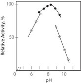 Glycerol 3-phosphate Oxidase from Pediococcus sp. lyophilized powder, 40-80 units/mg solid, pH 8.1