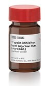Trypsin inhibitor from Glycine max (soybean) lyophilized powder