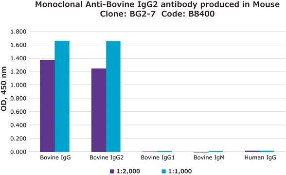 Monoclonal Anti-Bovine IgG2 antibody produced in mouse clone BG2-7, ascites fluid