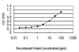 Monoclonal Anti-HBB antibody produced in mouse clone 2H3, purified immunoglobulin, buffered aqueous solution