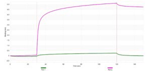 Anti-PLCG2 Antibody, clone 1L6 ZooMAb® Rabbit Monoclonal recombinant, expressed in HEK 293 cells