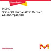 3dGRO® Human iPSC Derived Colon Organoids Normal, Dermal Fibroblast, Age: Neonatal, Male, Mutation: None