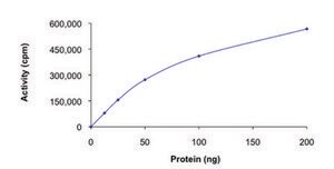 AMPK (α2/β2/γ2), active, His tagged human PRECISIO® Kinase, recombinant, expressed in baculovirus infected Sf9 cells, ≥70% (SDS-PAGE), buffered aqueous glycerol solution