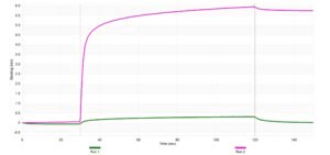 Anti-ST2/IL-33R Antibody, clone 1N22 ZooMAb® Rabbit Monoclonal recombinant, expressed in HEK 293 cells