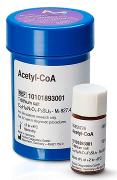 Acetyl-Coenzyme A 85% (Enzymatic and Absorbance), 2% (lithium)