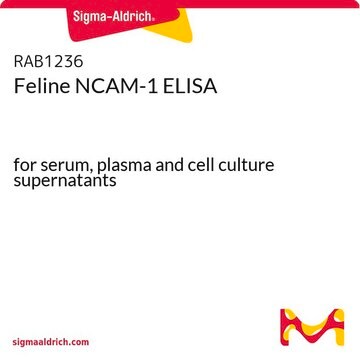 猫NCAM-1 ELISA for serum, plasma and cell culture supernatants