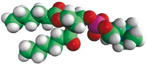 06:0 PC (DHPC) Avanti Research™ - A Croda Brand