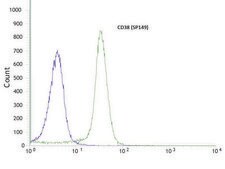Anti-CD38 antibody, Rabbit monoclonal clone SP149, recombinant, expressed in proprietary host, tissue culture supernatant