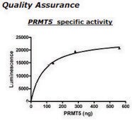 PRMT5/MEP50 Active human recombinant, expressed in baculovirus infected insect cells, ≥70% (SDS-PAGE)