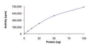 MARK2, active, GST tagged human PRECISIO® Kinase, recombinant, expressed in baculovirus infected Sf9 cells, ≥70% (SDS-PAGE), buffered aqueous glycerol solution